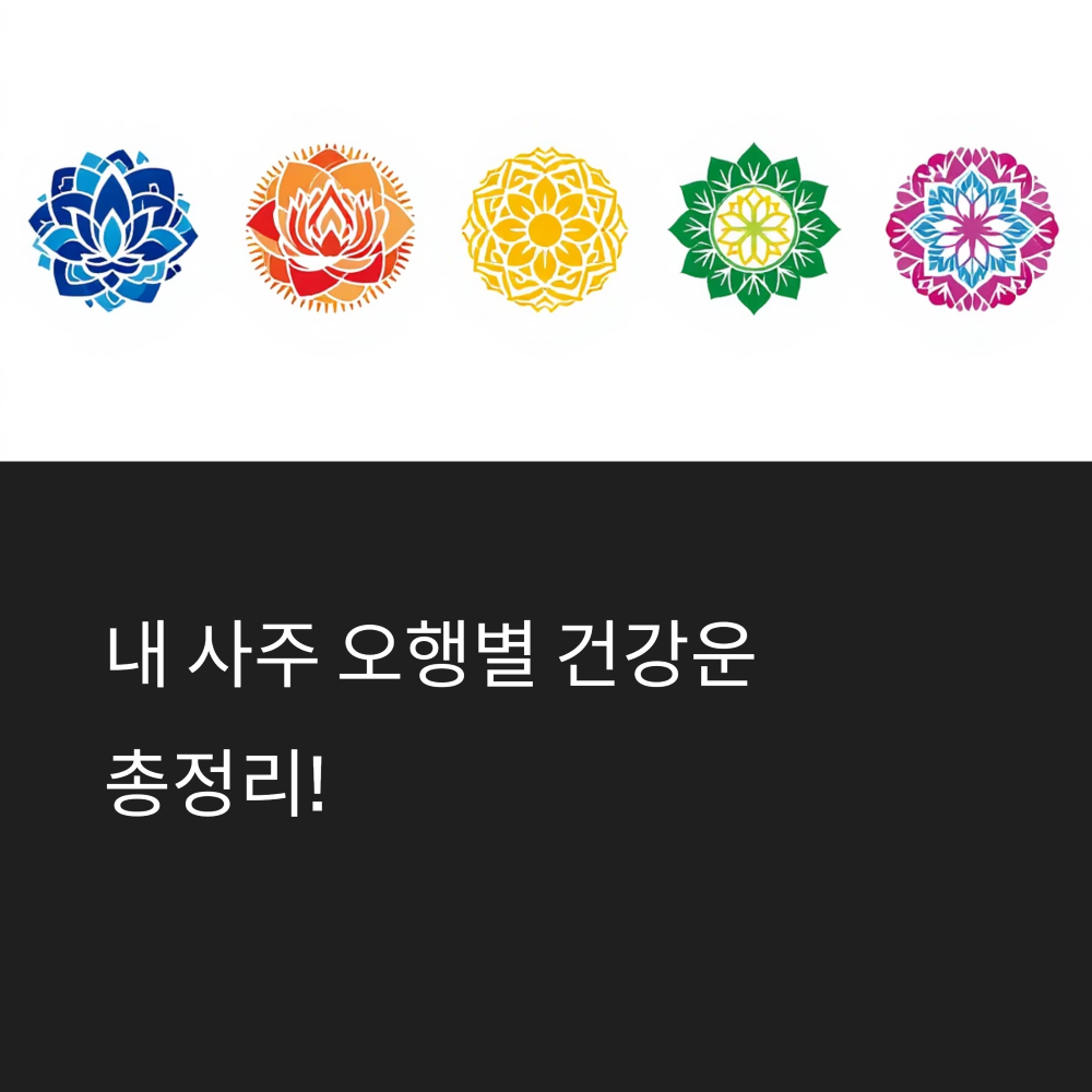 사주별 건강운 완전 정리 썸네일