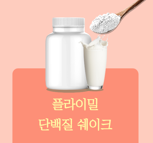 플라이밀 쉐이크