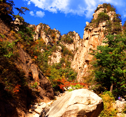 단풍여행 당일 단풍버스여행