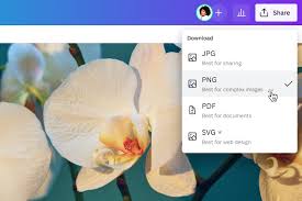 이미지 교정 캔바