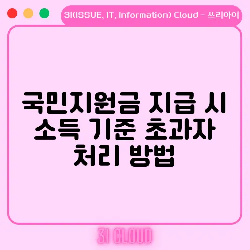 국민지원금 지급 시 소득 기준 초과자 처리 방법