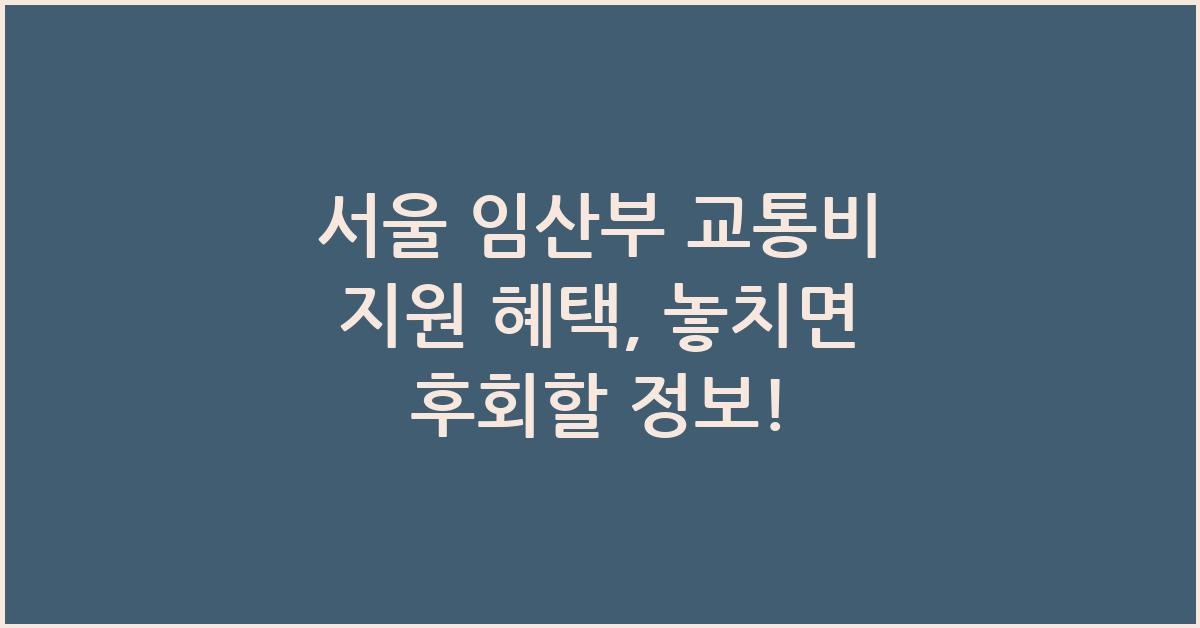 서울 임산부 교통비 지원 혜택