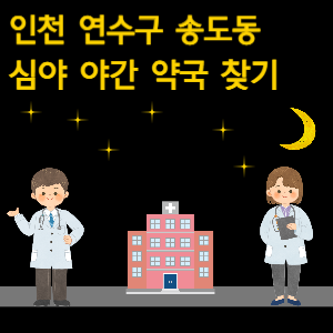 인천 연수구 송도동 심야 야간 약국 찾기