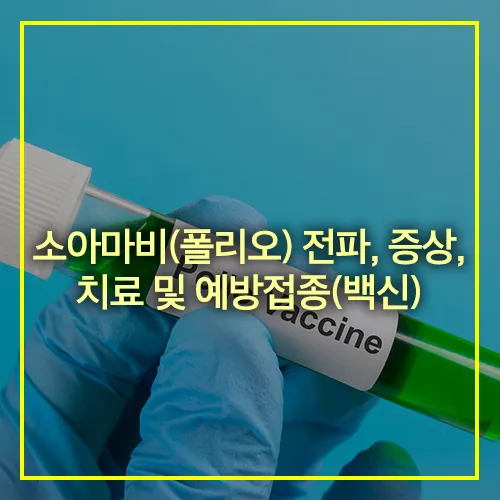 소아마비 전파 증상 치료 예방접종 백신