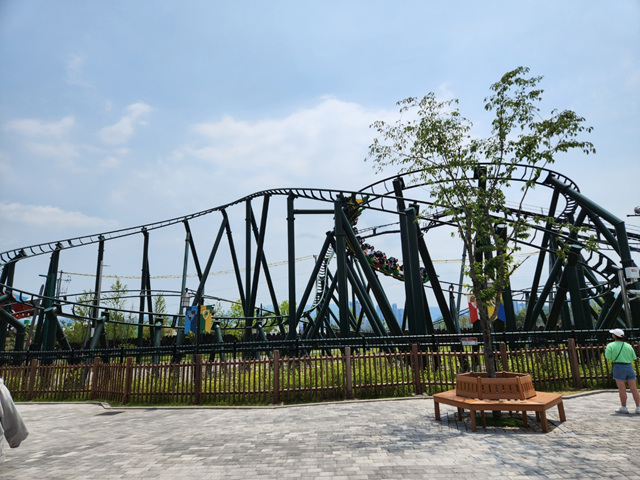 드래곤 플라이 사진