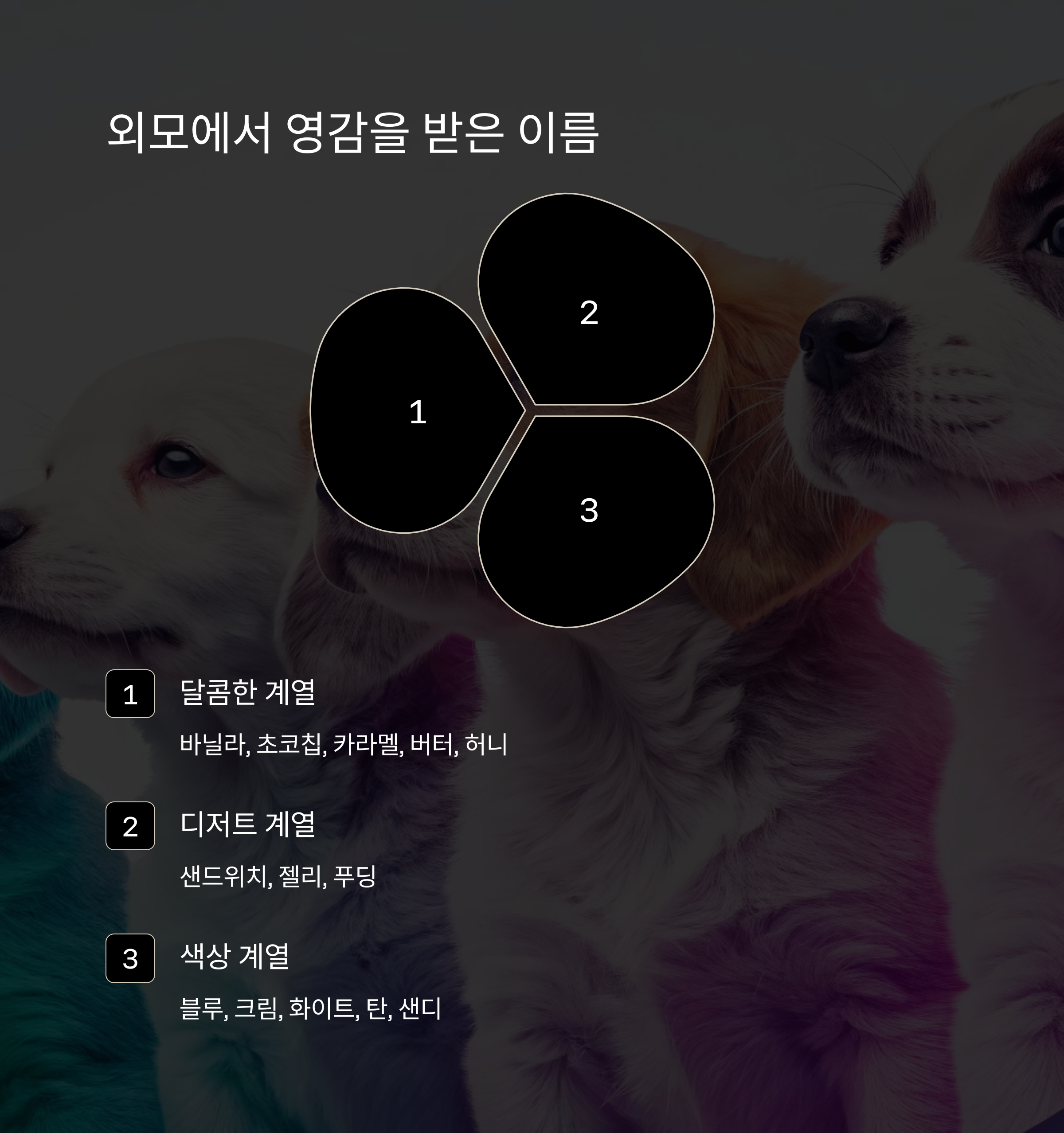 외모에서 영감을 받은 이름