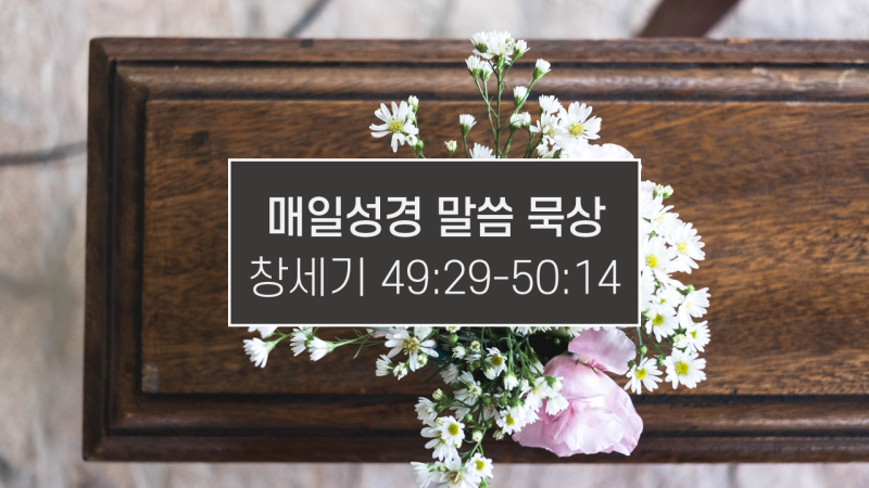 썸네일-관-위에-꽃이-있는-이미지