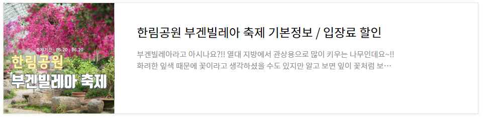 비체올린 능소화축제