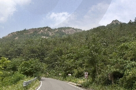 보성 가볼만한곳 베스트 10