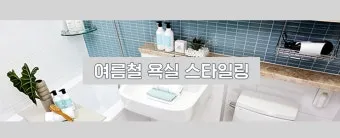 여름철 욕실 세균 곰팡이 청소 끝 관리법과 예방 팁 완벽 위생 가이드_9