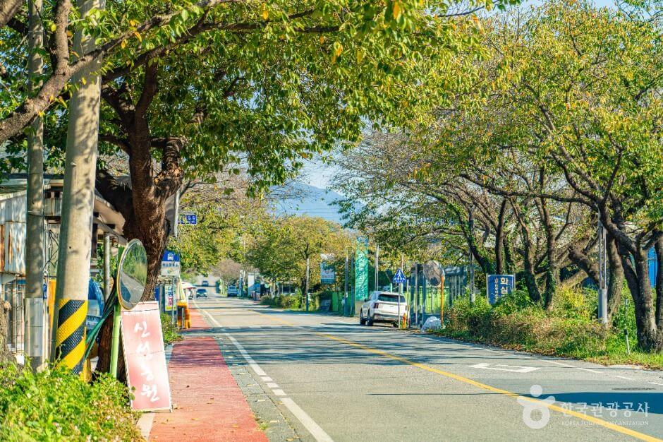 하동 가볼만한곳 베스트 10