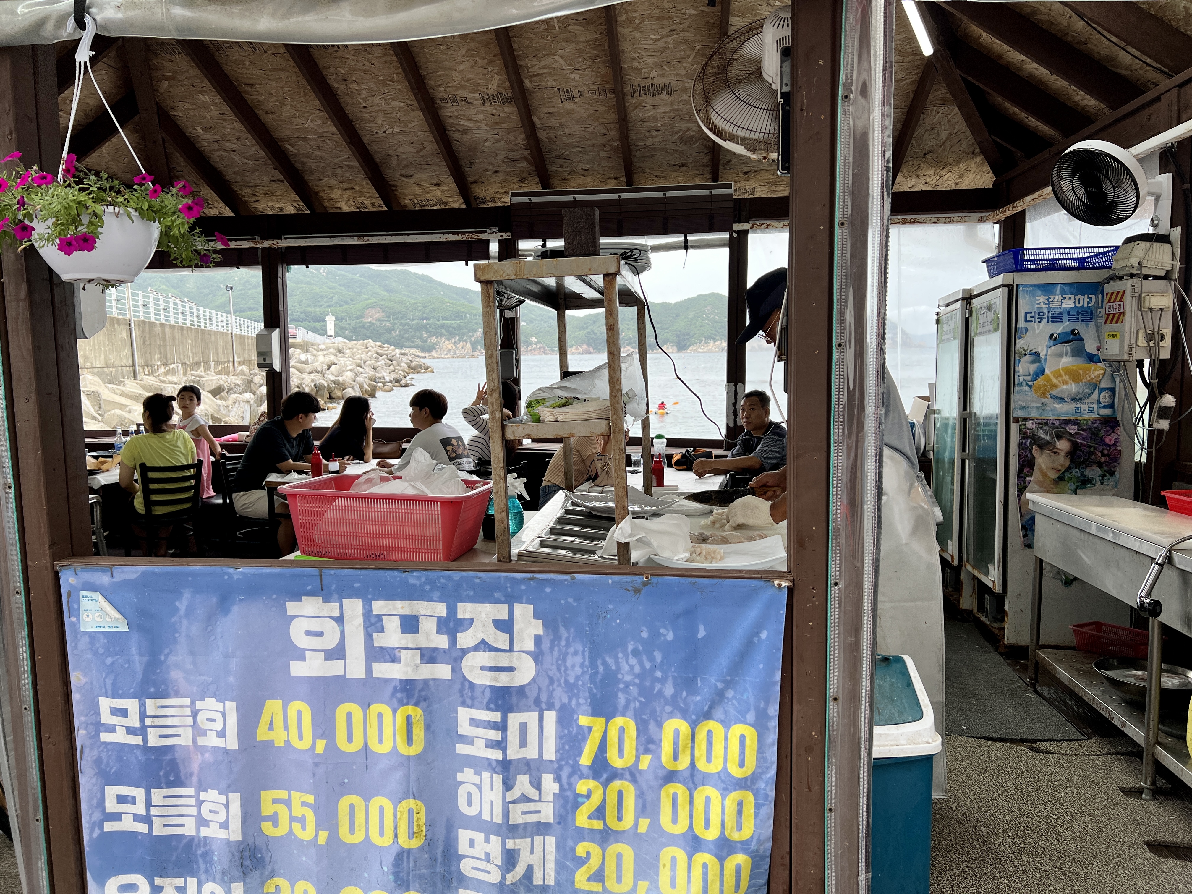 장호항 횟집
