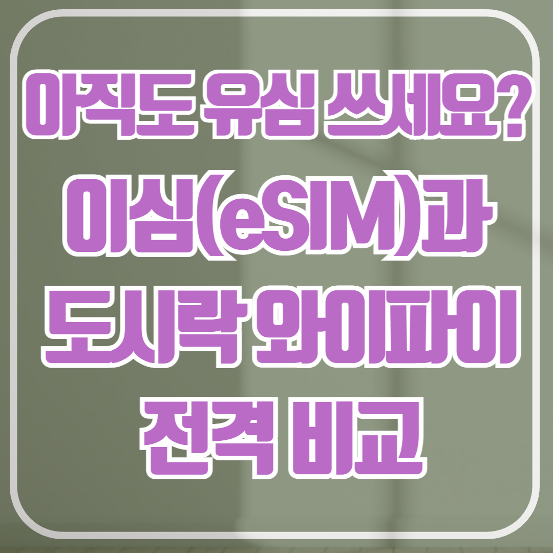 해외여행 유심 데이터