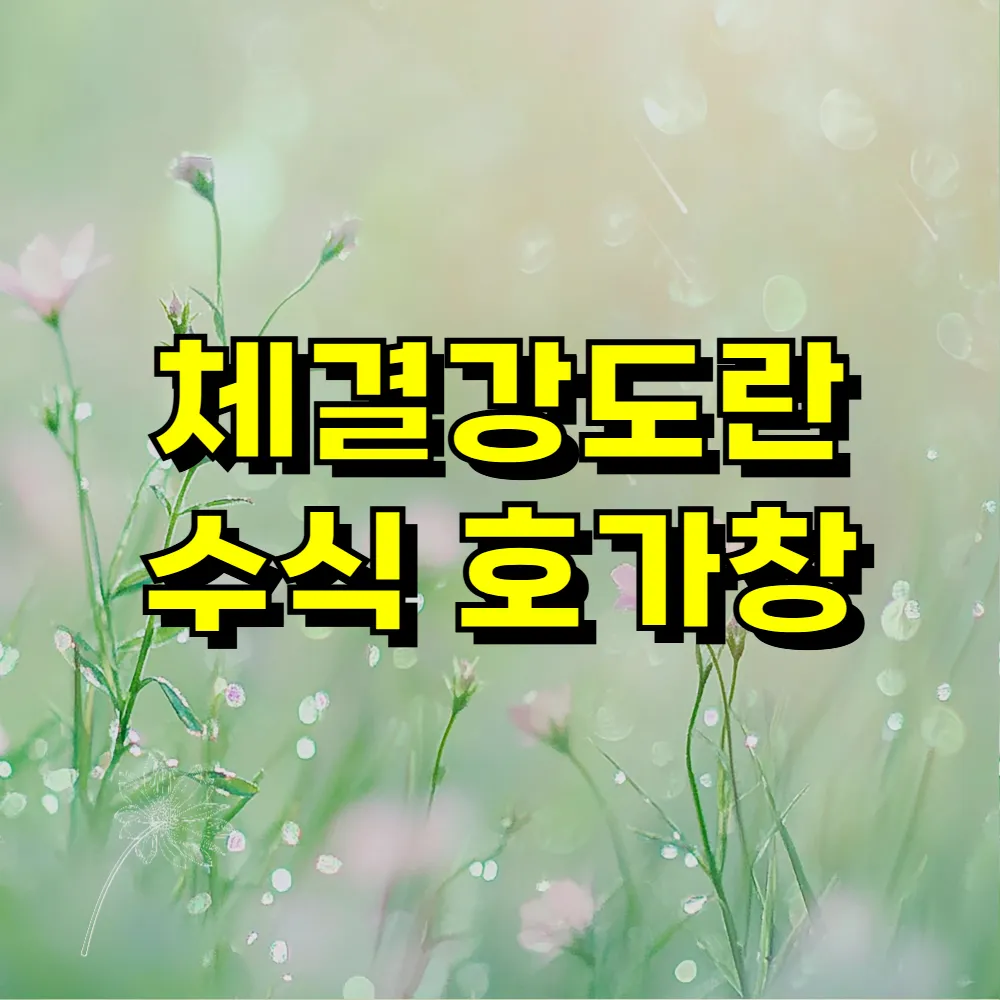 체결강도란 수식 호가창