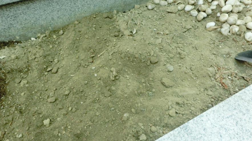 베란다텃밭 가꾸기 이틀만에 새싹이 났어요!(+ 베란다 야채키우기)