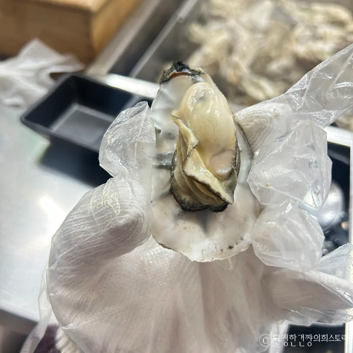 광진구-중곡역-굴-맛집-굴이짱-추천-굴찜