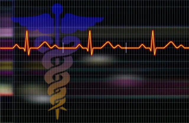 고지혈증 관련 사진6