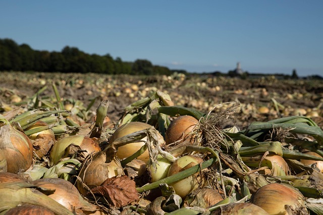 골다공증 치료방법 4