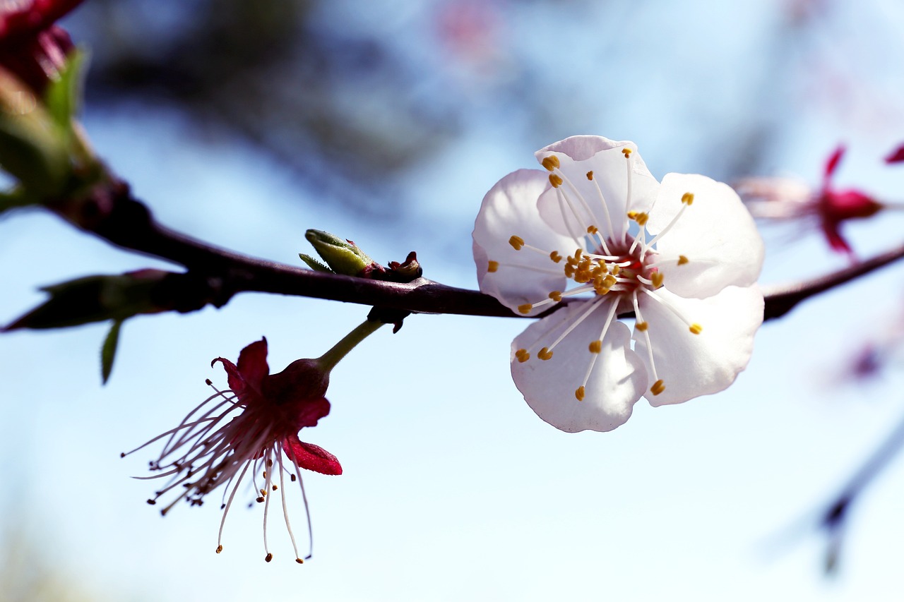 5월 인사말 모음! 40가지 꼭 전하세요