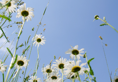 전기요금 할인 중복 받을 수 있나요? 가능한 조합 총정리