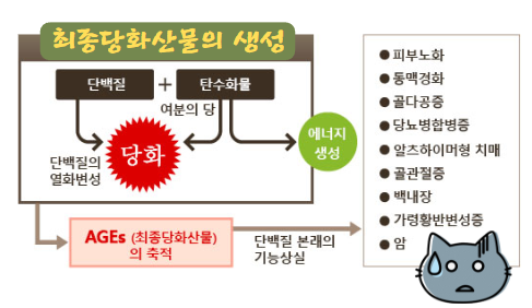 최종당화산물