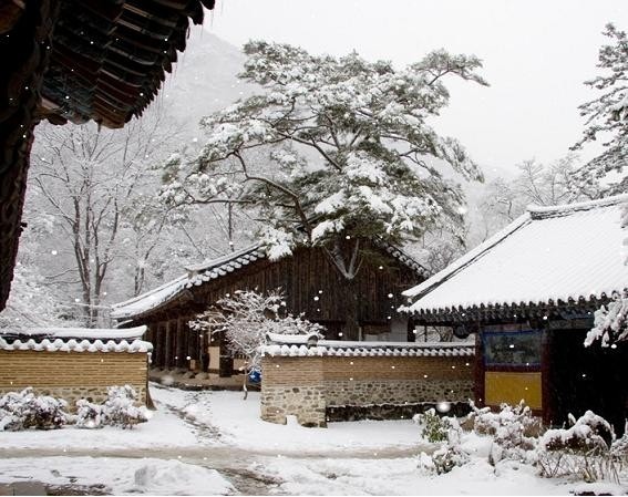 겨울 산사 템플스테이 명소&amp;#44; 고요 속 나를 찾는 사색 여행!