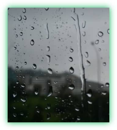 장마철 집안의 습기와 곰팡이 방지&amp;#44; 관리 및 제거 방법