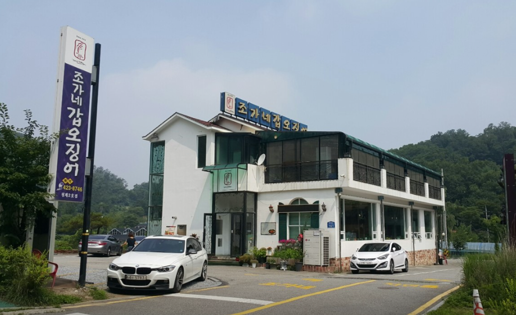 조가네갑오징어