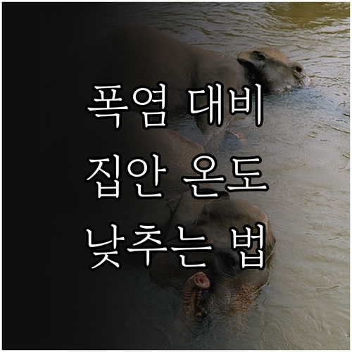 폭염 대비 집안 온도 낮추는 법 완벽..