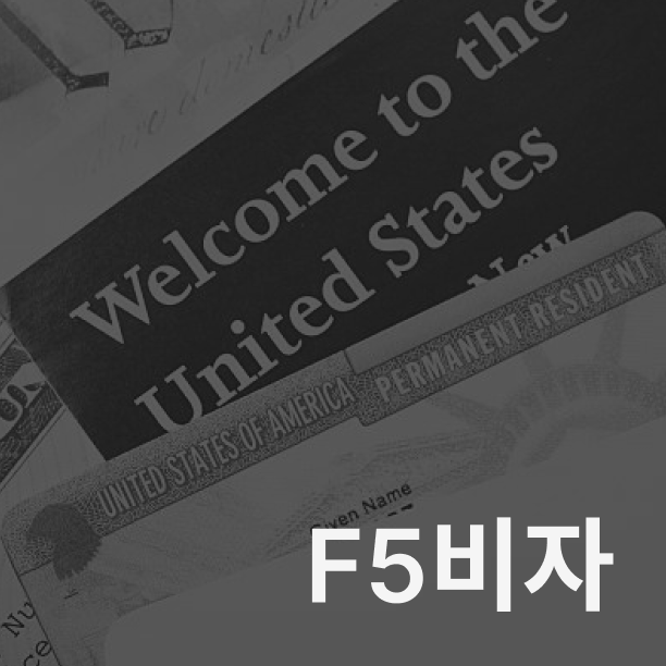 F5 비자