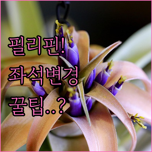 필리핀에어아시아 좌석 변경 시 알아둘..