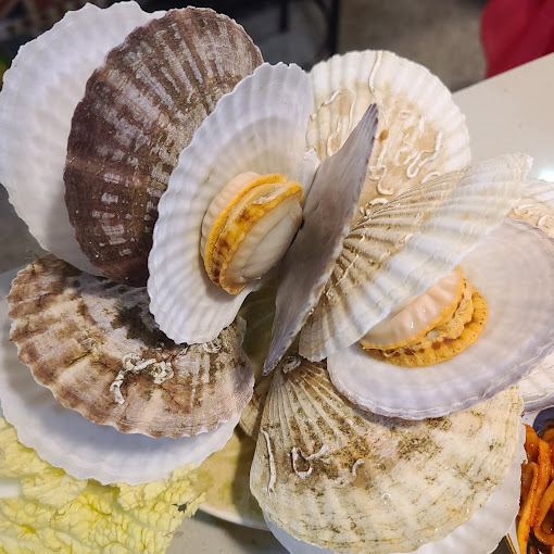 창동 이모카세1호 셰프 '즐거운술상'