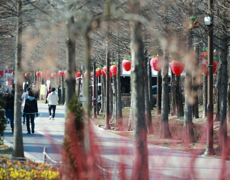 2025 논산딸기축제 딸기등거리