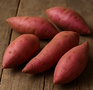 고구마 수확시기