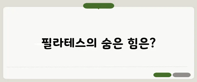 필라테스 효과 자세·통증 모두 잡는 비결