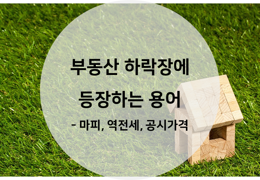 마피, 역전세, 공시가격