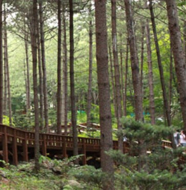 숲나들e 국립 산음 자연휴양림 국내 여행지 추천 관련사진
