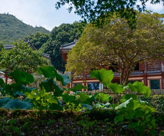 다산박물관