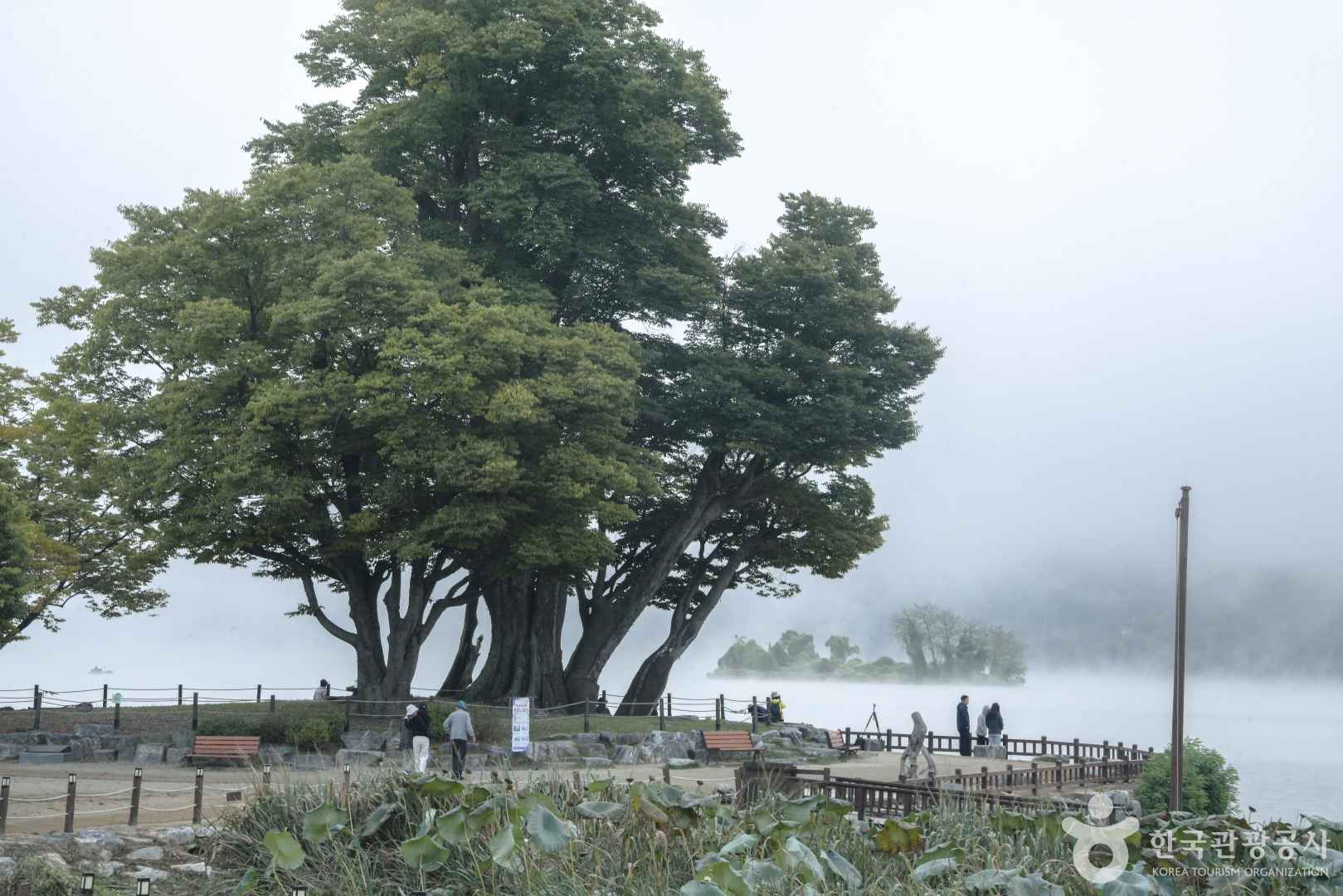 두물머리