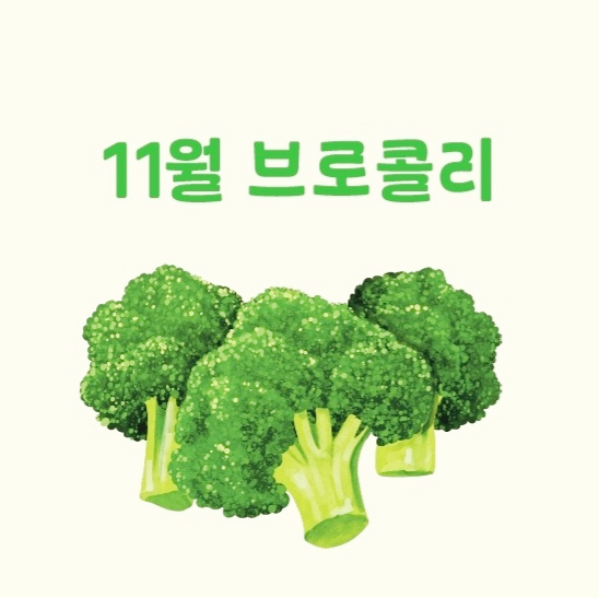 11월 제철채소