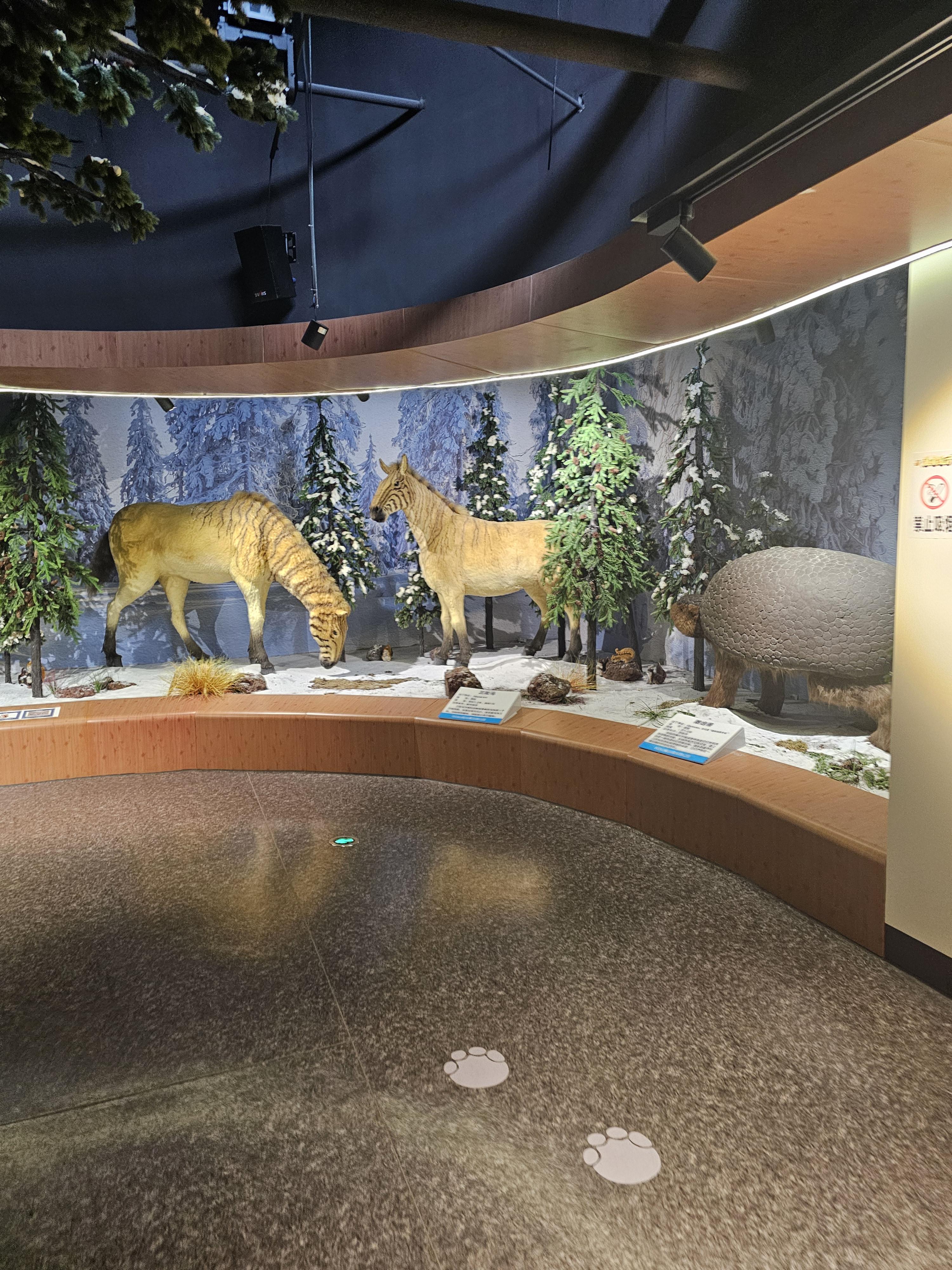 장백산 매머드 테마파크