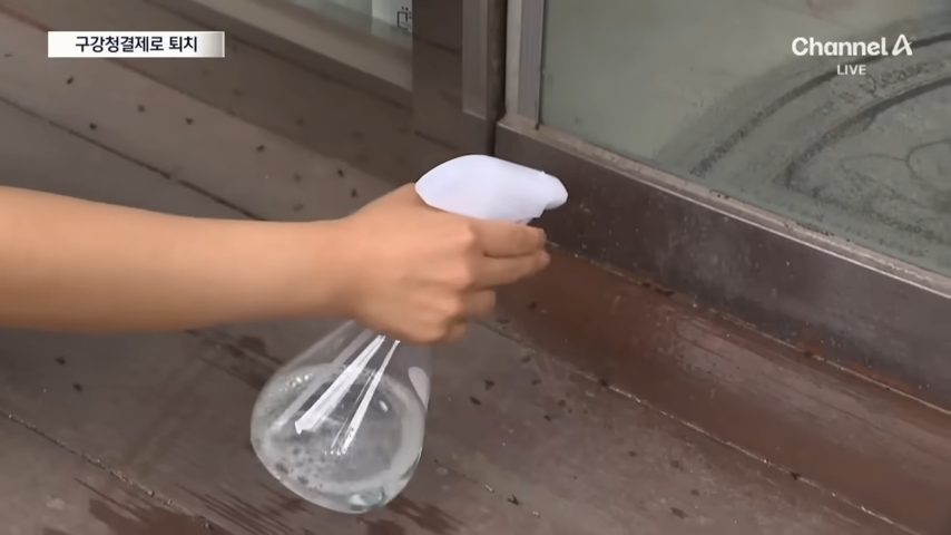 창틀에 물을 뿌려 러브버그 실내 유입 예방