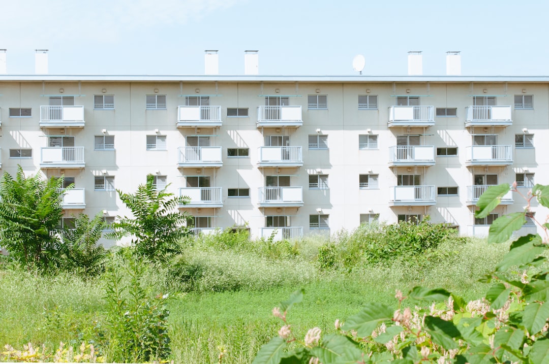 Youth rental housing