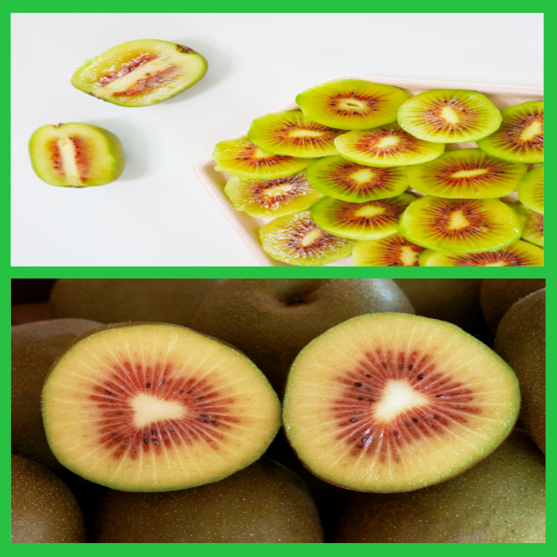 키위 종류 및 보관방법 보관법 효능 종류