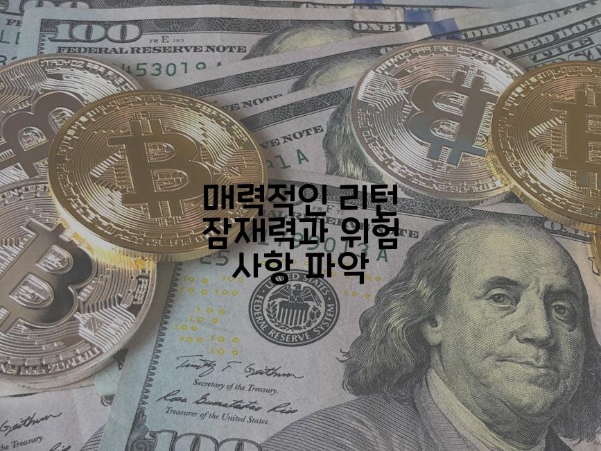 매력적인 리턴 잠재력과 위험 사항 파악
