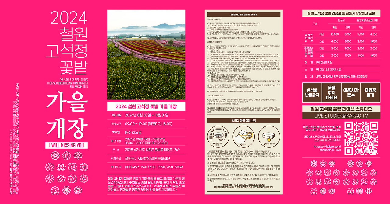 철원 고석정 꽃밭 가을꽃축제