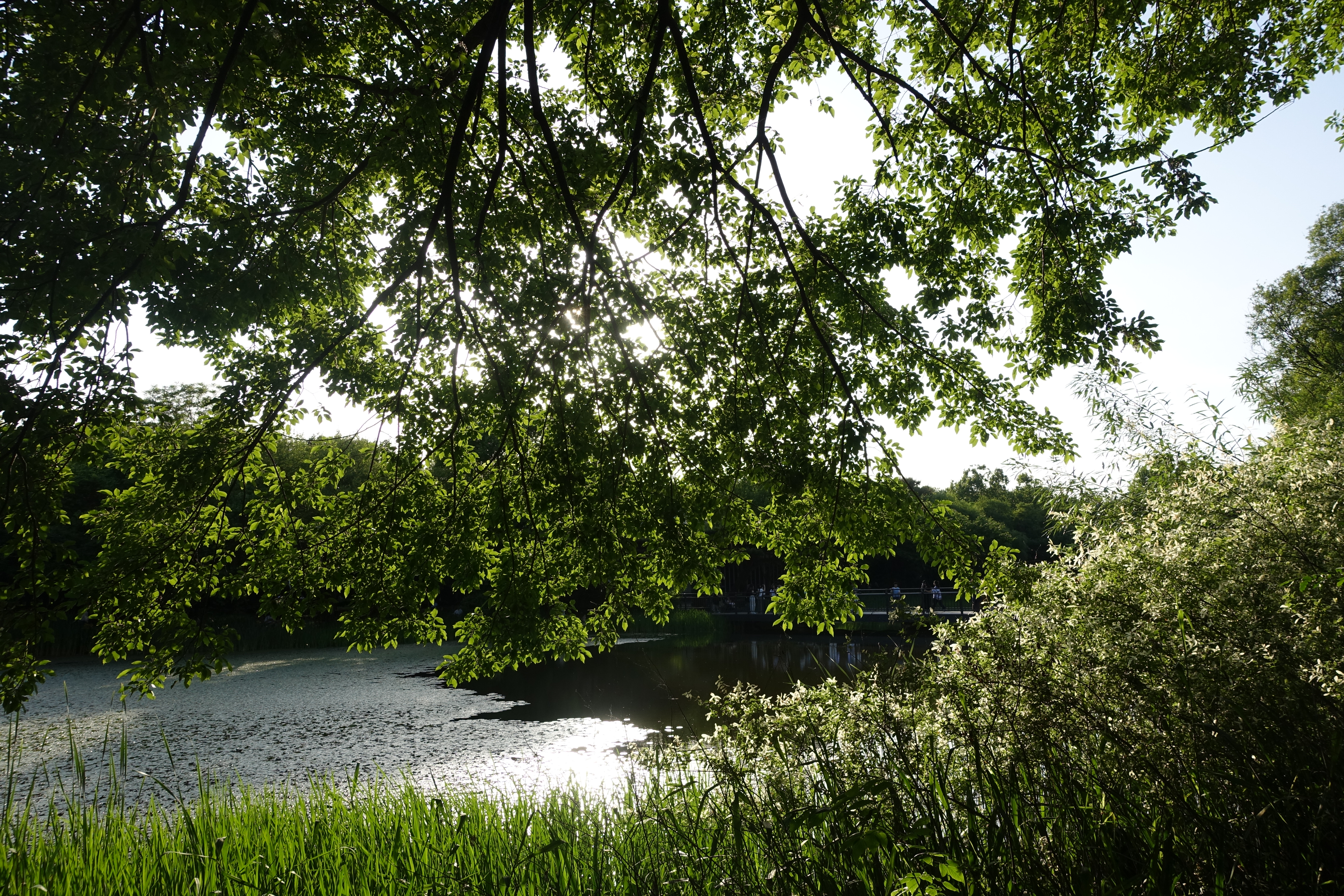 Alt 속성 문제 해결 설명 이미지