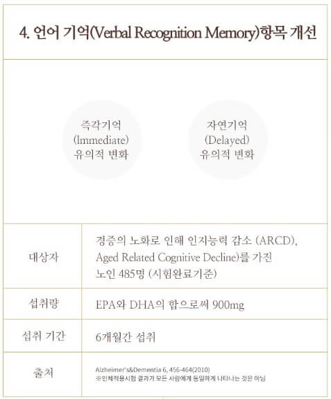 언어 기억