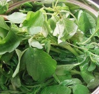 비름나물의 효능 부작용 고르는법 먹는법