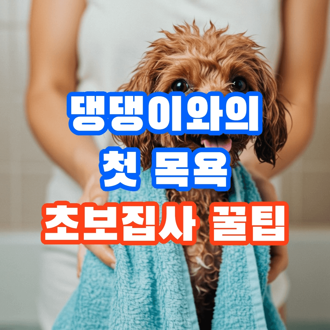반려견과의 첫 목욕, 초보 주인이 알아야 할 꿀팁 5가지! 🐶
